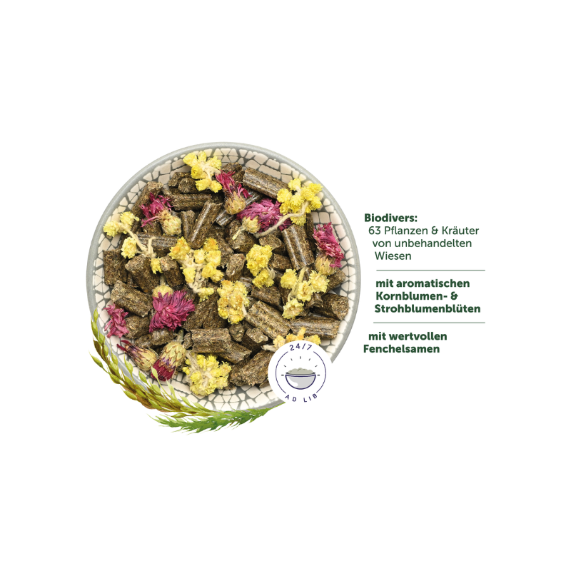 RabbitDream SPECIAL EDITION Harmony
