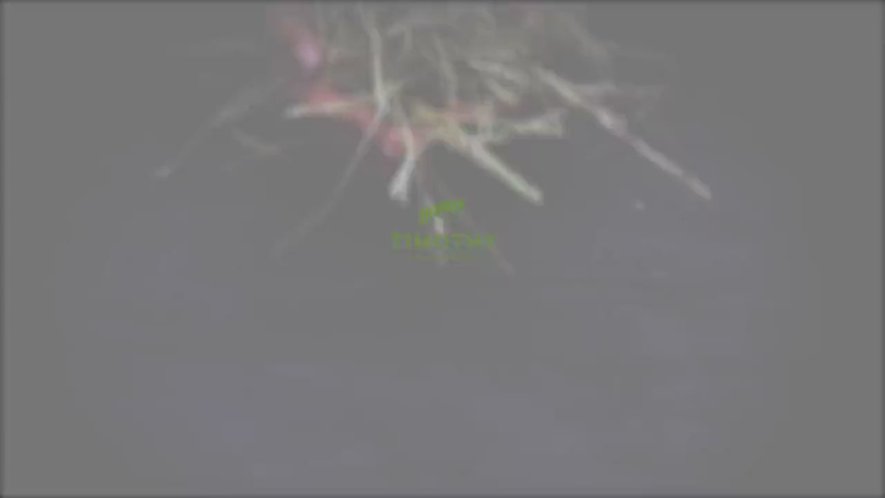Bunny Nature hø video
